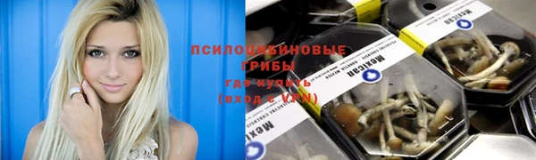ешки Аркадак