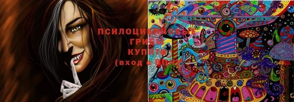ешки Аркадак