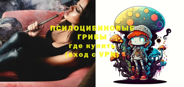 а пвп мука Армянск