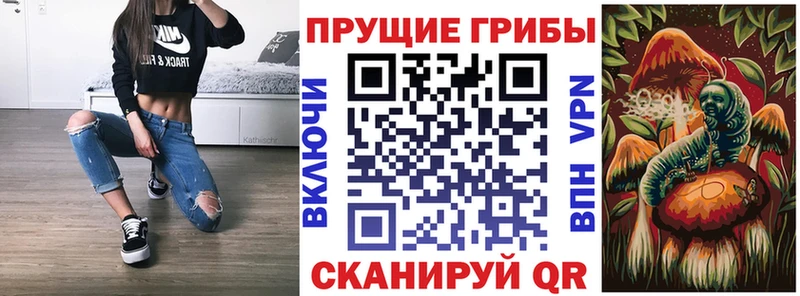 Галлюциногенные грибы Cubensis  продажа наркотиков  Усть-Кут 